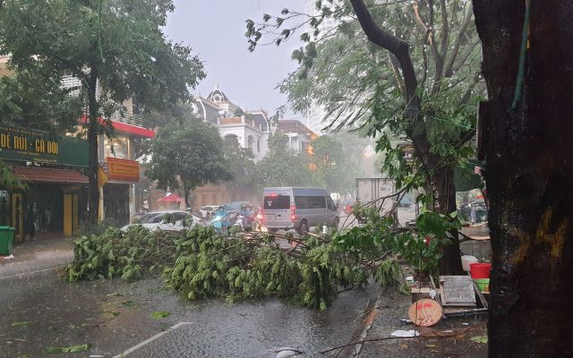 Mưa giông có ảnh hưởng tích cực và tiêu cực