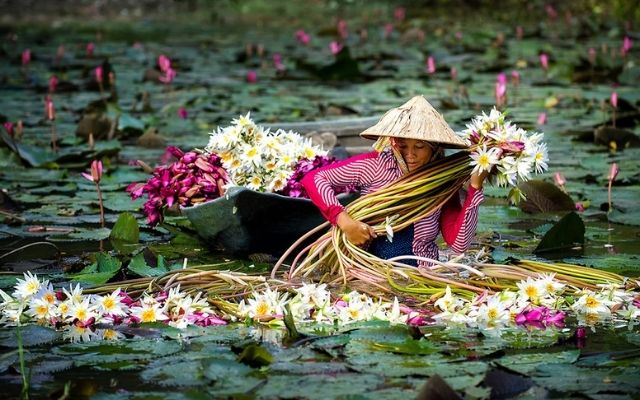 Ghé thăm các tỉnh miền Tây