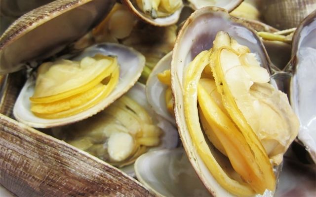 Ngán biển Hạ Long