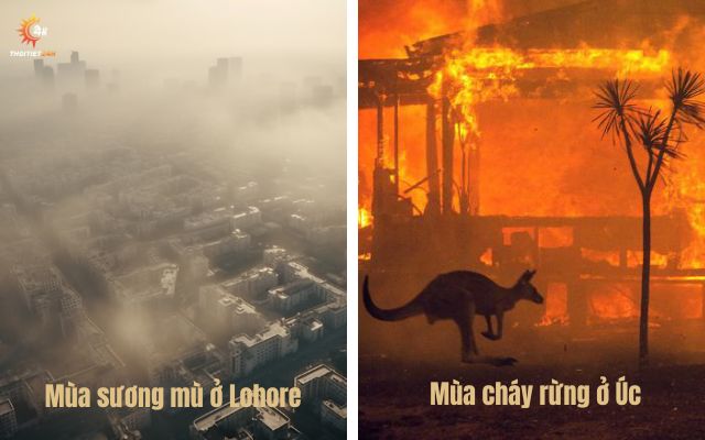 Mùa thứ 5 được nhận diện rõ ràng hơn qua từng điểm nóng trên thế giới