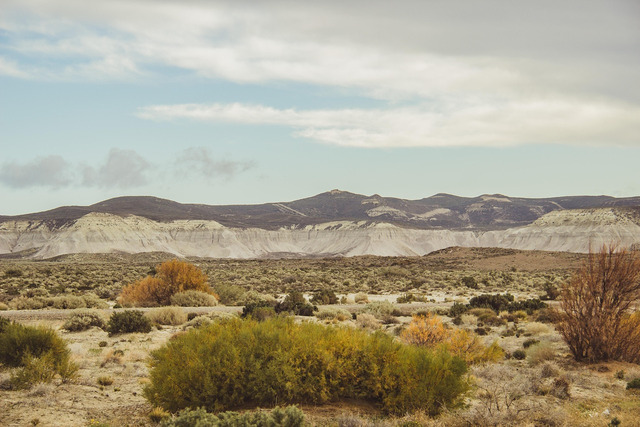  Sa mạc Patagonia Argentina