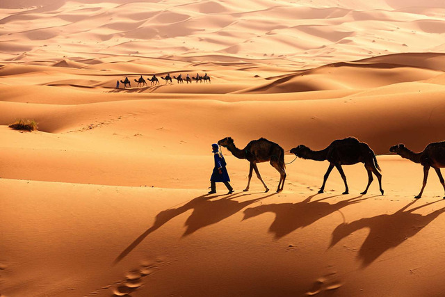 Sa mạc nóng lớn nhất thế giới - Sahara