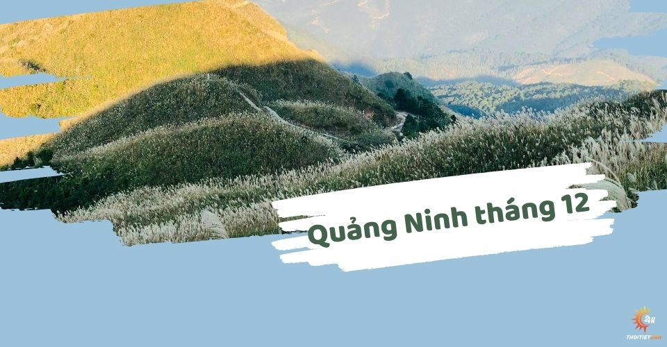 Có nên du lịch Quảng Ninh tháng 12 không?