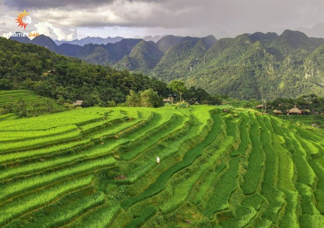 Cảnh sắc thiên nhiên Pù Luông Thanh Hóa