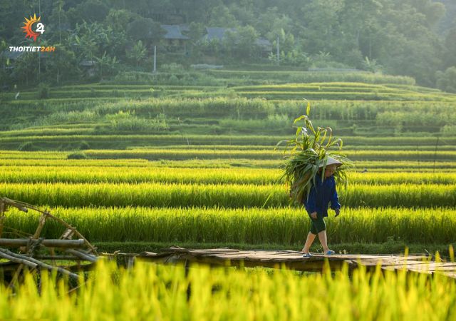 Bản Đôn Pù Luông 