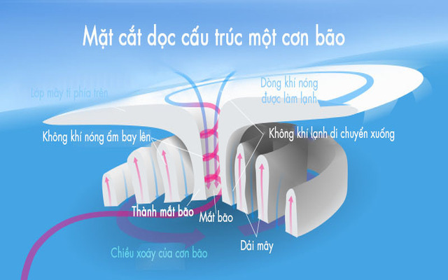 Mô hình tiết diện của một xoáy thuận nhiệt đới