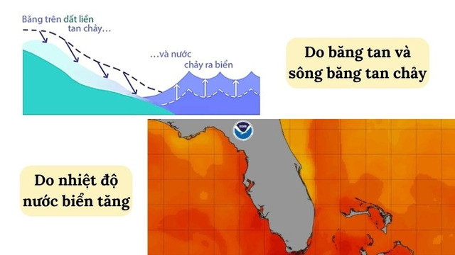  Nguyên nhân gây ra hiện tượng nước biển dâng