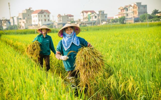 Hệ thống sông ngòi tạo điều kiện phát triển nông nghiệp