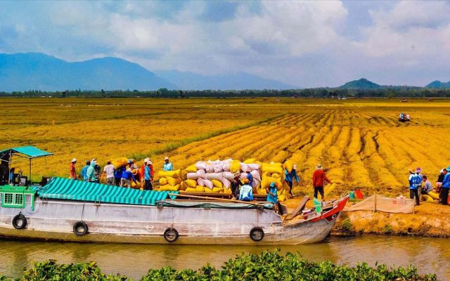 Khí hậu ở khu vực này tương đối ổn định