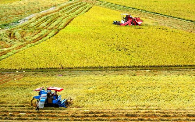 Một số giải pháp phát triển sản xuất lương thực