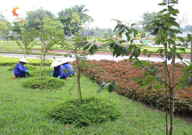 Tăng cường không gian xanh, cải thiện ô nhiễm không khí 