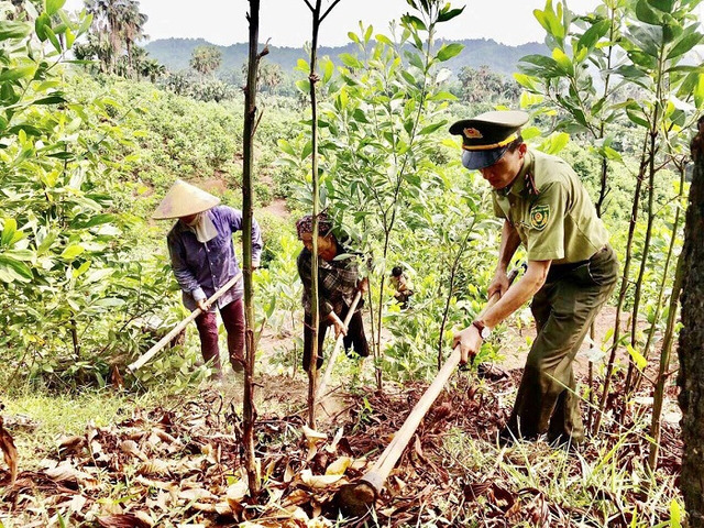 Tạo sinh kế bền vững nhằm nâng cao việc bảo vệ rừng