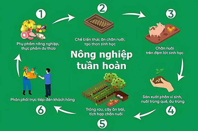  Xây dựng mô hình sản xuất tuần hoàn 