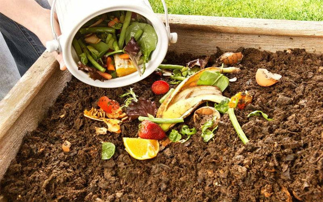 Sử dụng phân bón hữu cơ thay cho phân bón hóa học để bảo vệ đất