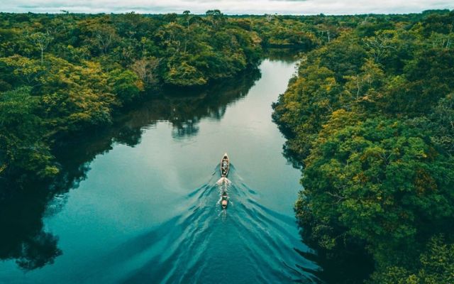Sông Amazon ở Nam Mỹ