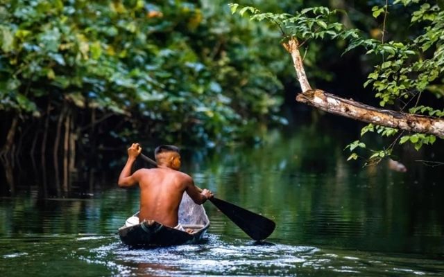 Dòng chảy sông Amazon