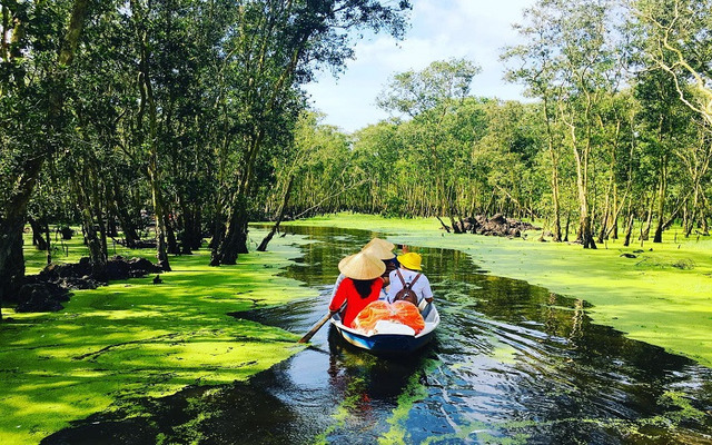 U Minh Thượng mùa mưa cảnh quan đa sắc