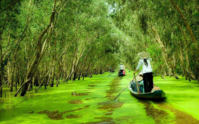 Vườn Quốc Gia U Minh Thượng Kiên Giang 