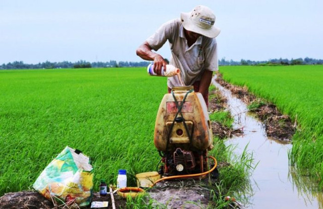  Ô nhiễm môi trường từ thuốc bảo vệ thực vật