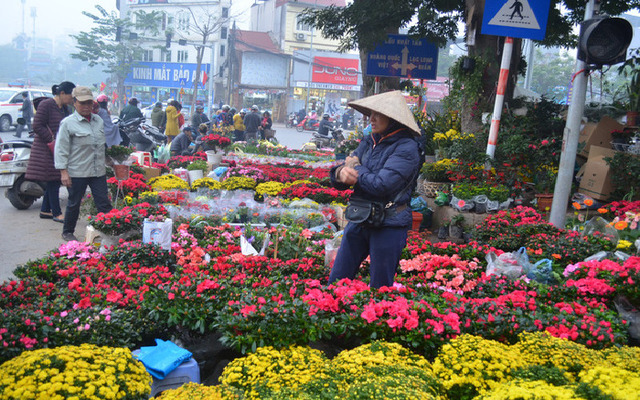 Chợ hoa đường Hoàng Hoa Thám 