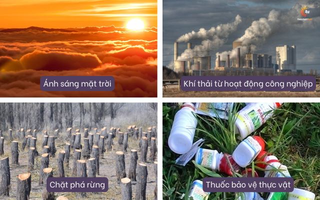 Nguyên nhân dẫn đến sự nóng lên toàn cầu