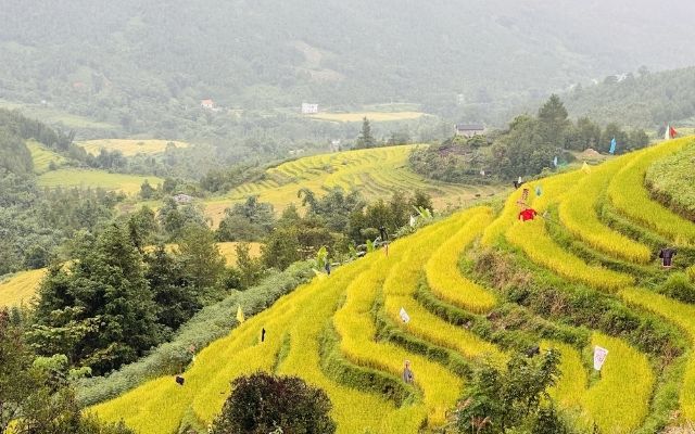 Có nên đi du lịch Quảng Ninh vào tháng 1 không?