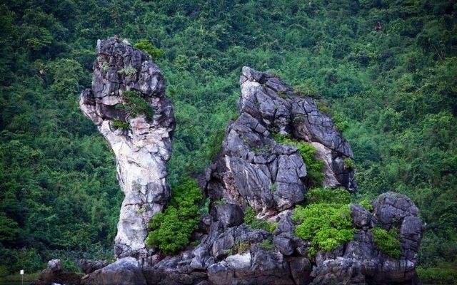 Vườn quốc gia Bái Tử Long