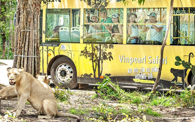 Tham quan không gian bảo tồn bán hoang dã ở Vinpearl Safari