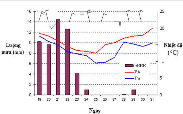 Biểu đồ biến trình nhiệt, gió và mưa từ ngày 19 đến 31 tháng 12/1999 tại Huế 