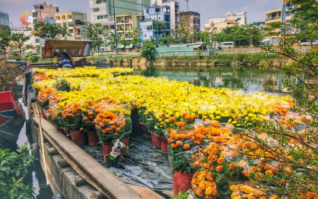 Thời tiết TP. Hồ Chí Minh Tết nắng đẹp 