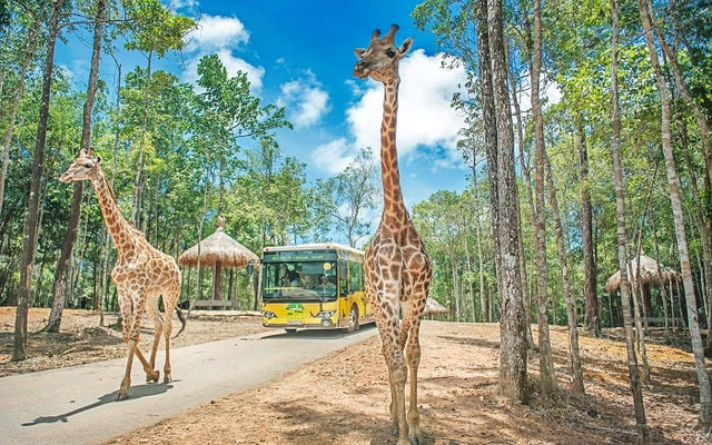  Ngày đầu khám phá Vinpearl Safari Phú Quốc