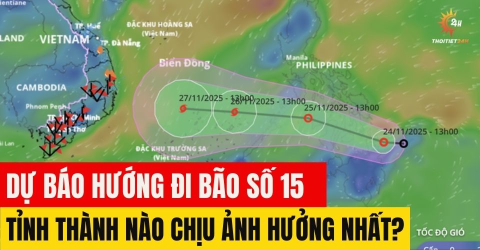  Dự báo cơn bão số 15