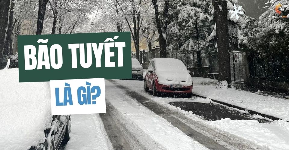 Hiện tượng bão tuyết