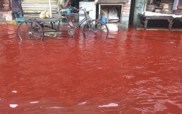 Lý giải những trận mưa máu