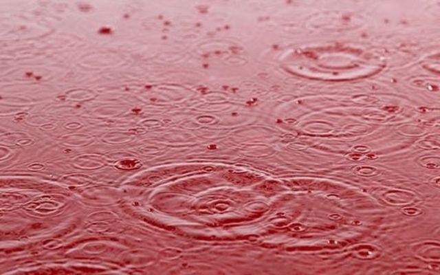 Giả thuyết về mưa máu