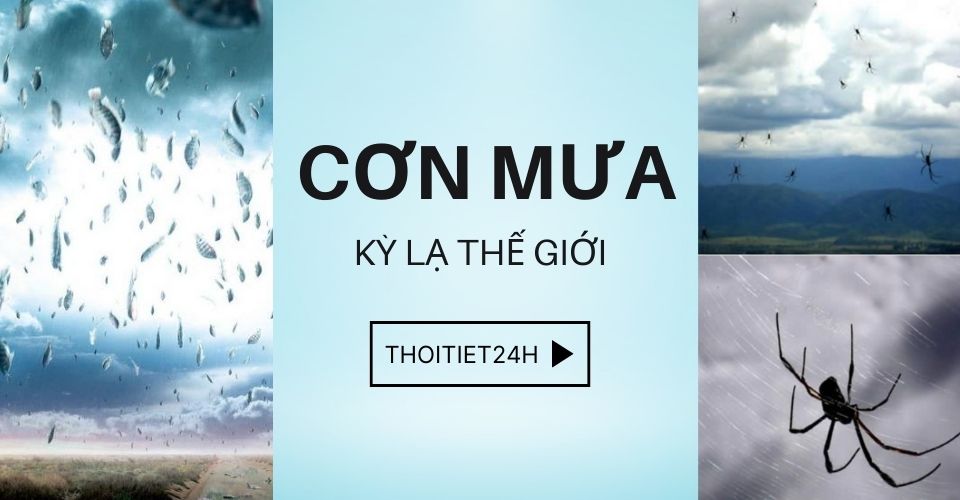 Những trận mưa kỳ lạ nhất thế giới