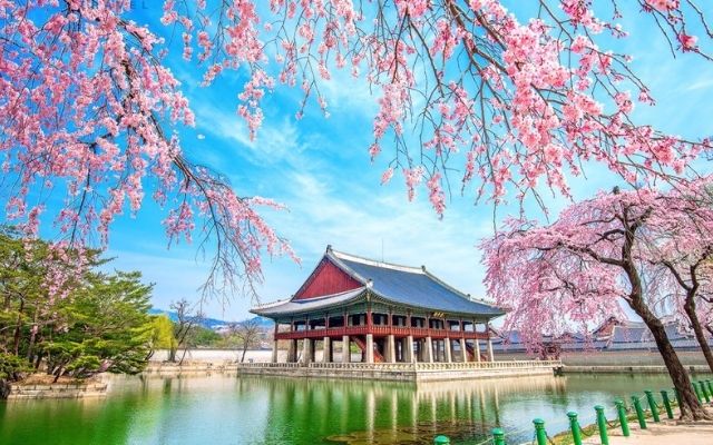 Du lịch Hàn Quốc tháng 5