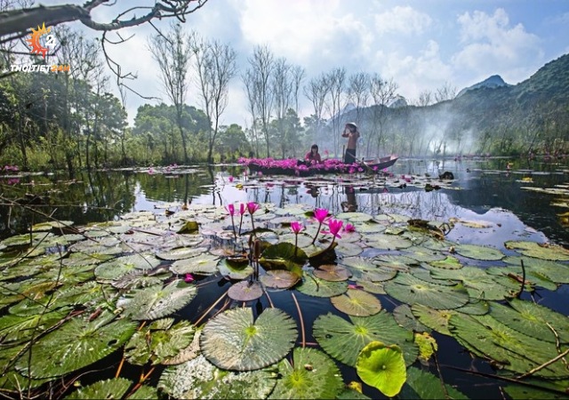 Dòng suối Yến mùa hoa nở