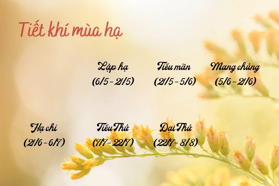 Các tiết khí mùa hạ 