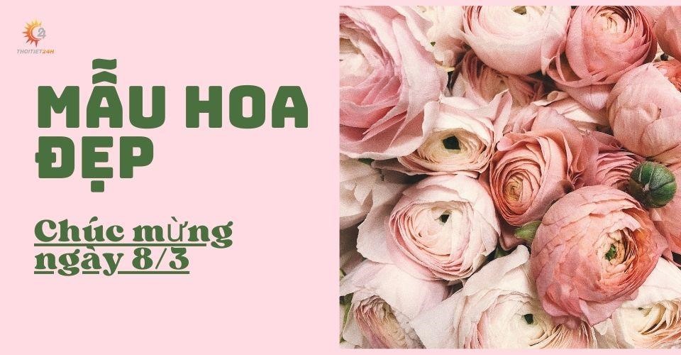 hoa chúc mừng ngày 8/3