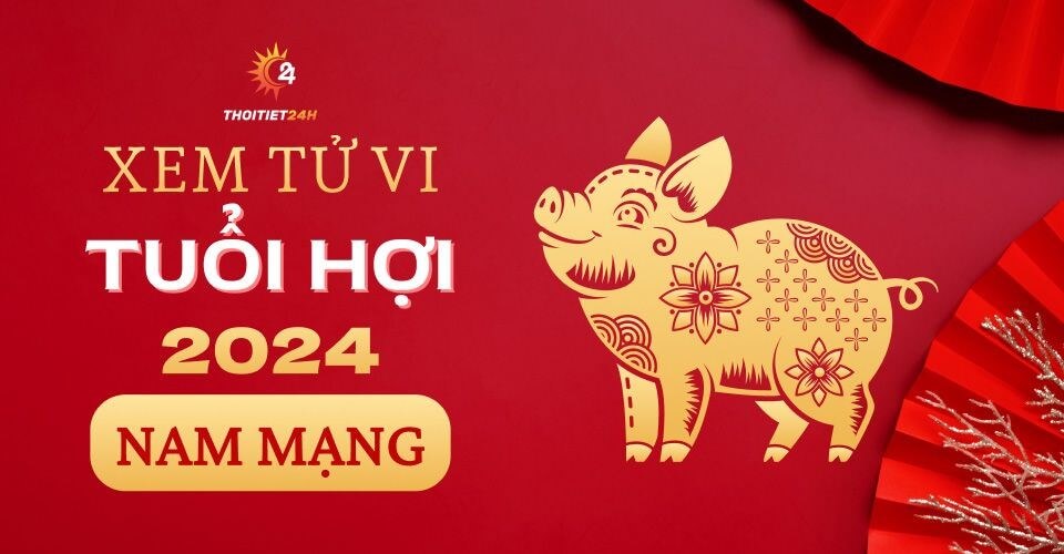 Tử vi vận hạn nam mệnh tuổi Hợi có gì biến động không?