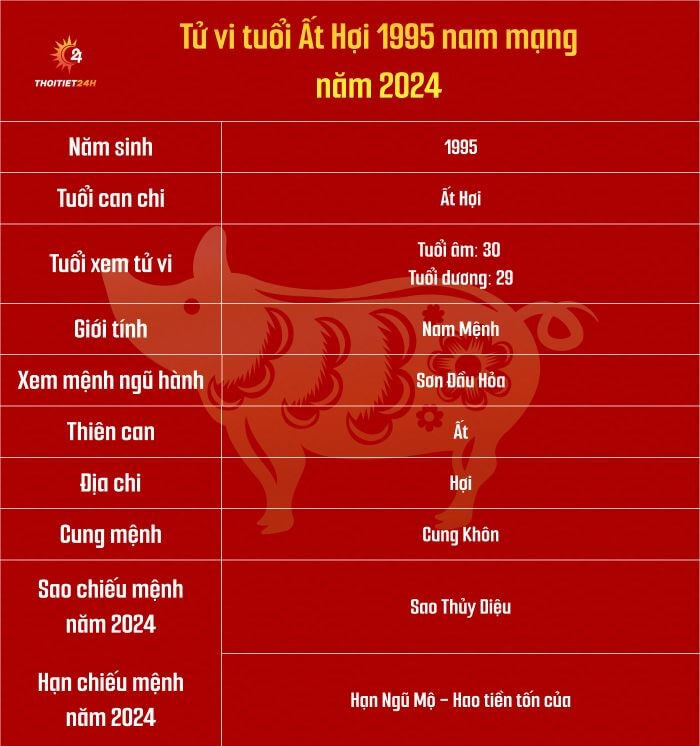 Tử vi tuổi Ất Hợi 1995 nam mạng năm 2024