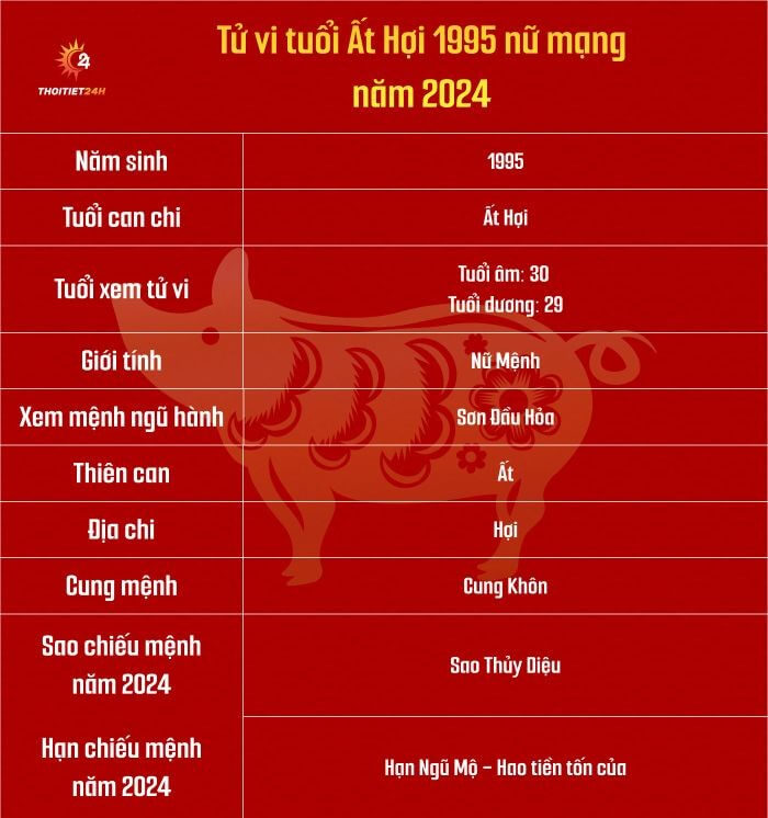 Tử vi tuổi Ất Hợi 1995 nữ mạng năm 2024