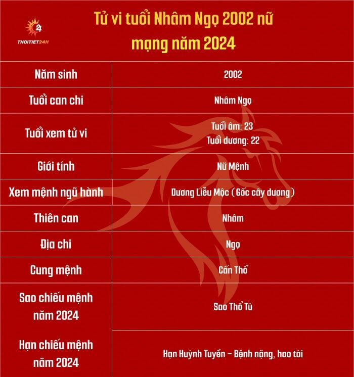 Tử vi tuổi Nhâm Ngọ 2002 nữ mạng năm 2024