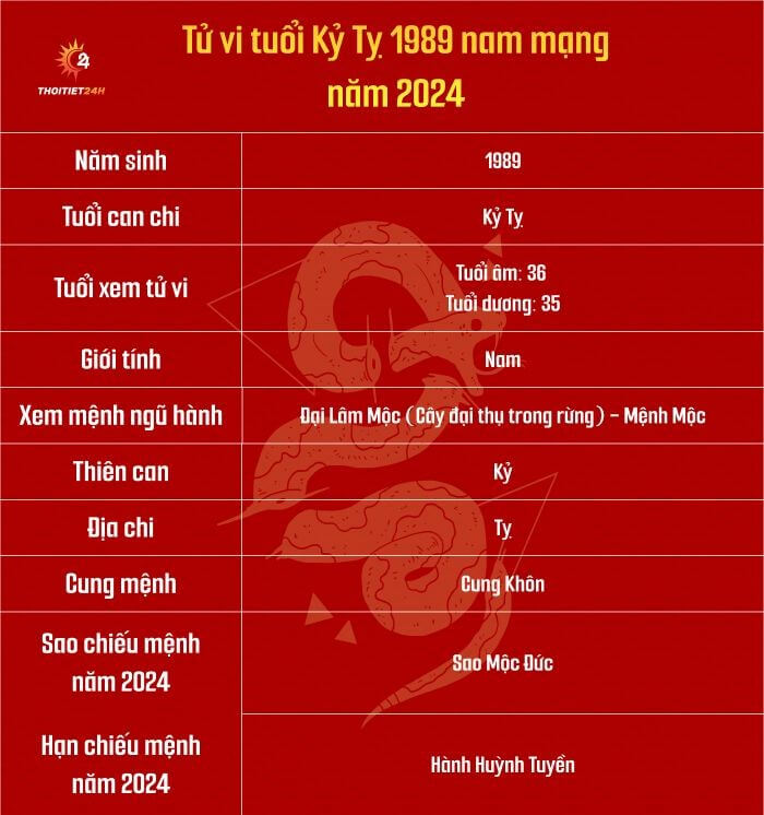 Tử vi tuổi Kỷ Tỵ 1989 nam mạng năm 2024