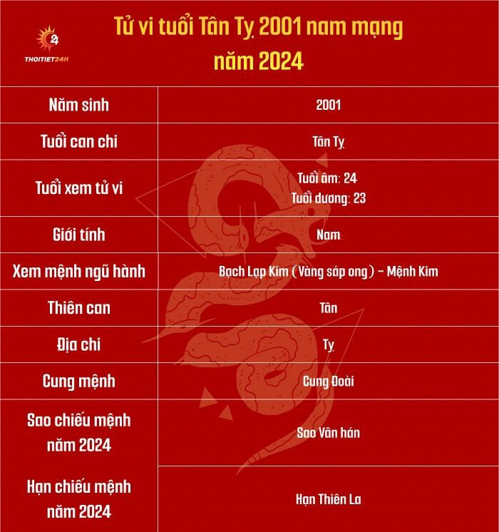 Tử vi tuổi Tân Tỵ 2001 nam mạng năm 2024