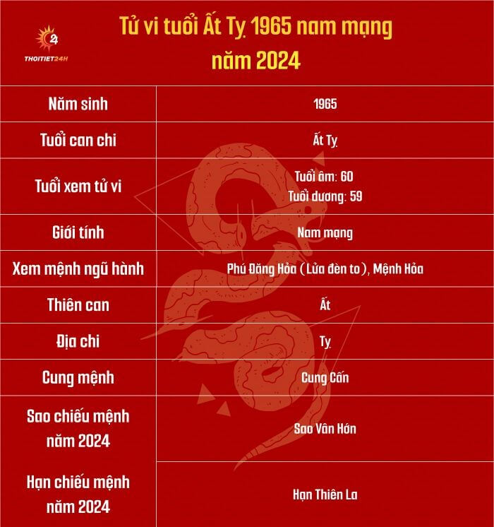 Tử vi tuổi Ất Tỵ 1965 nam mạng năm 2024