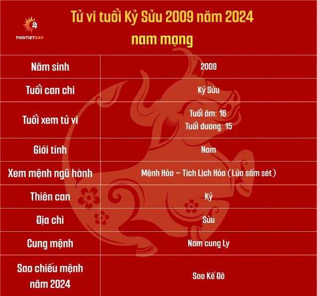 Tử vi tuổi Kỷ Sửu 2009 năm 2024 nam mạng