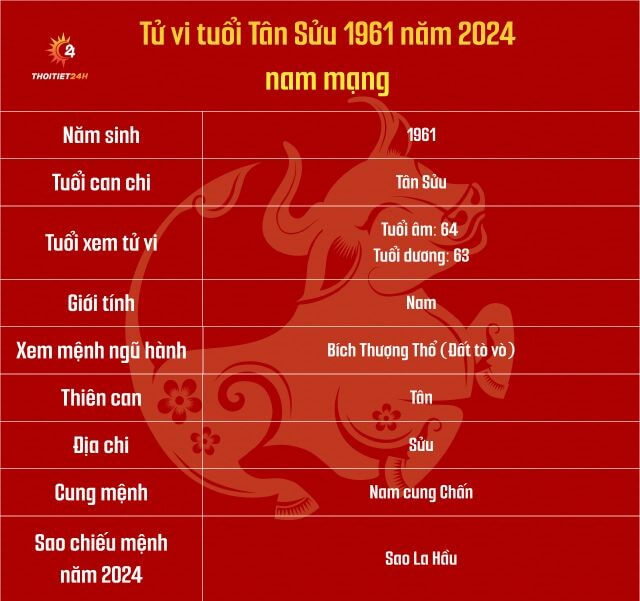 Tử vi tuổi Tân Sửu 1961 năm 2024 nam mạng