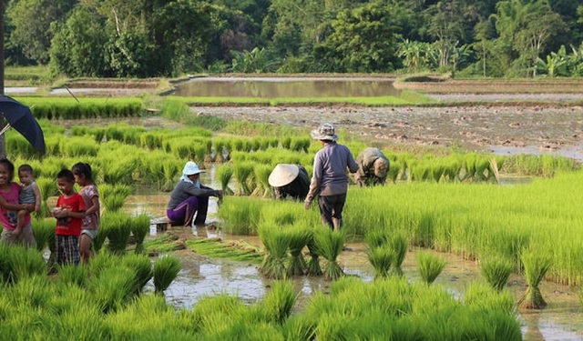 Cập nhật diễn biến thời tiết phục vụ các hoạt động sản xuất 